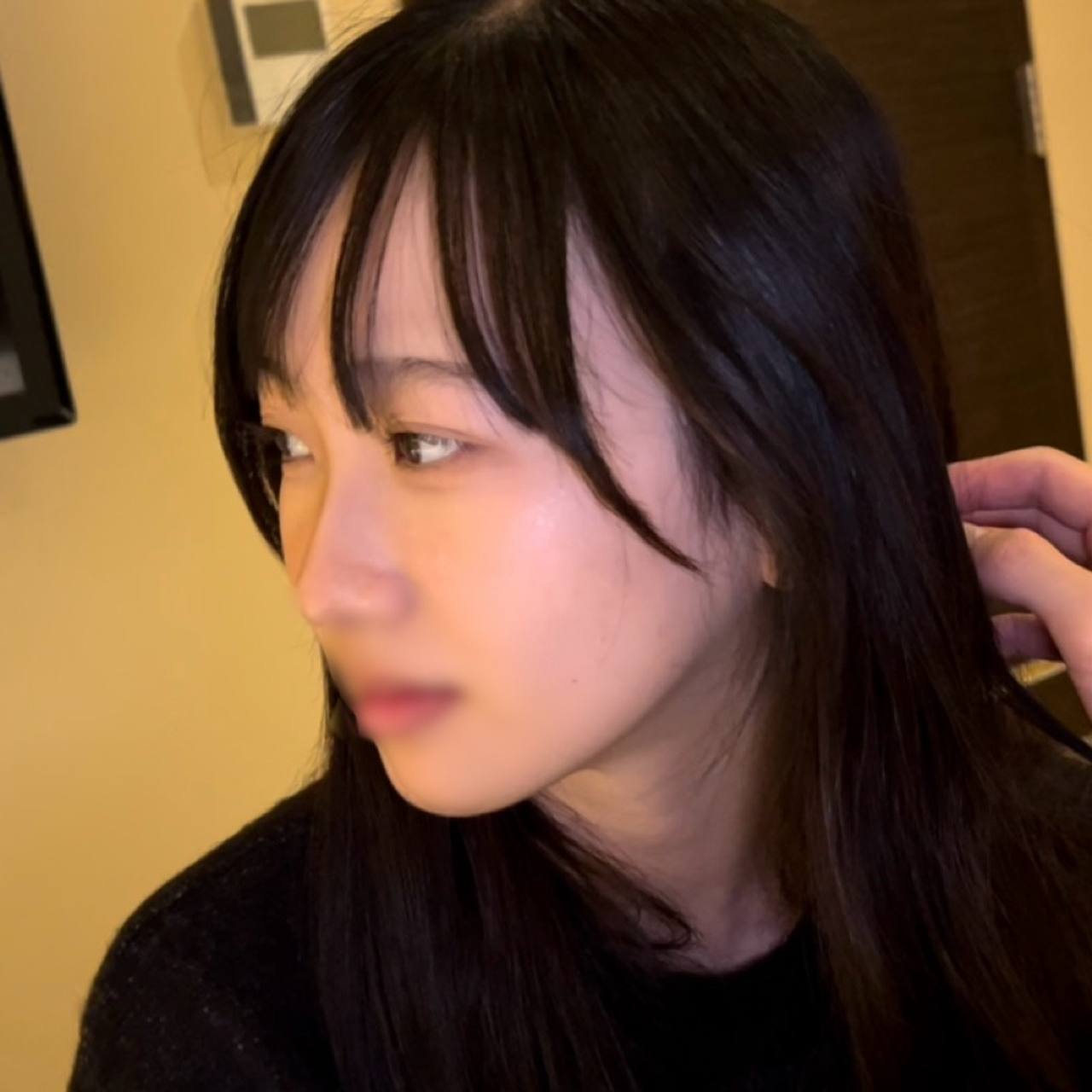 4803174.jpg
