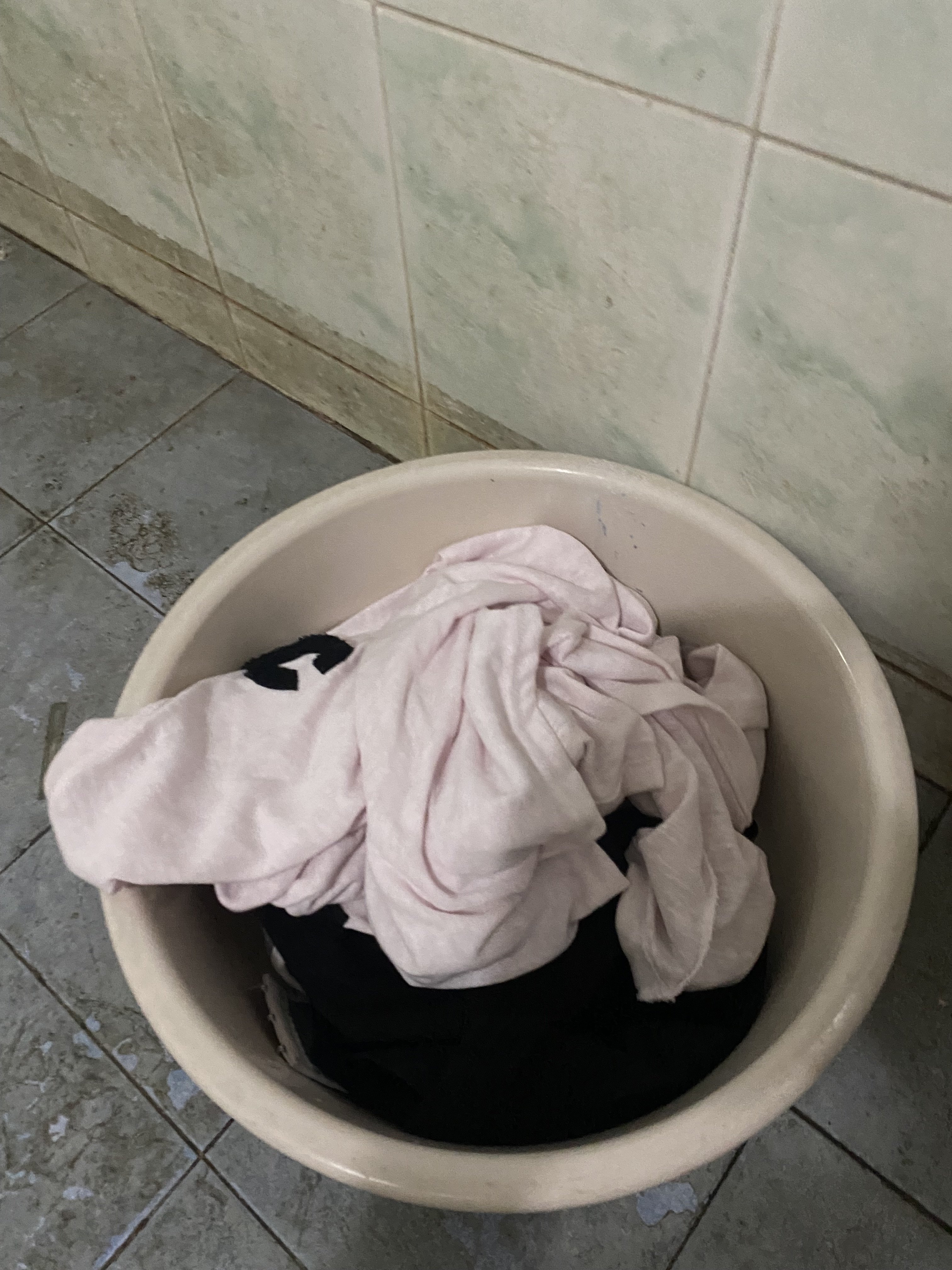 IMG_2315.jpeg