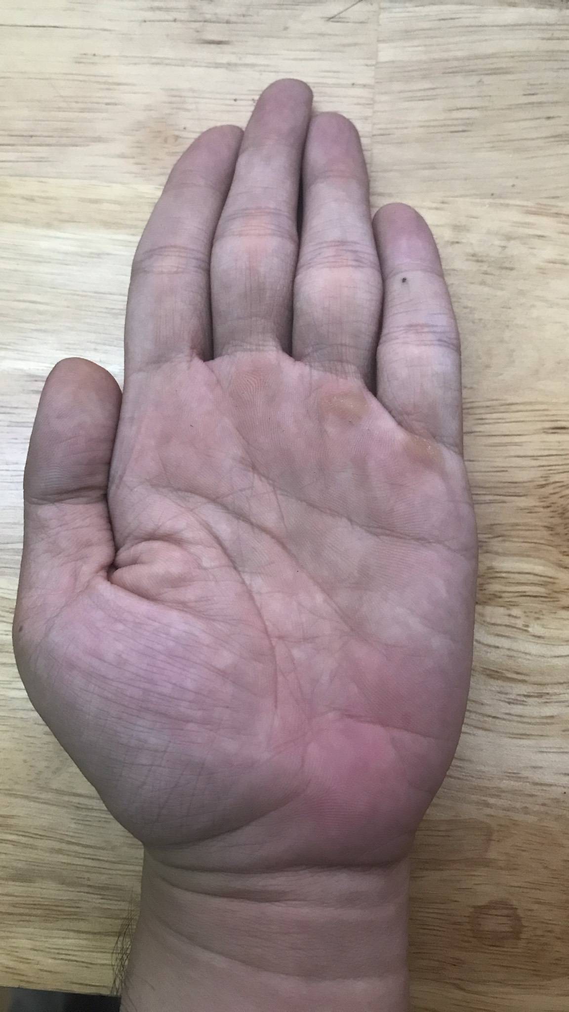 484471295_1209076820831445_6090462105181962252_n.jpg