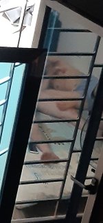 z2570849628061_9f777e5b166e4268d130744cde1a4dff.jpg