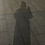 anhdoan8386