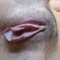 ngocchip95