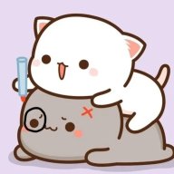 Nanhcop