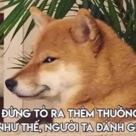 boyhonghot
