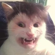 khanhdacnhiem