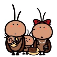 ninhao
