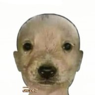 Xamit