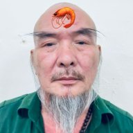 Cô Ma Lô