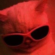 pepsilovecoca