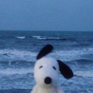 Sumooo