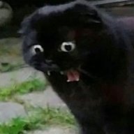 shinjjinohope