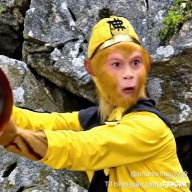 tieungunhicb