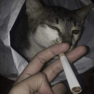 vclhaha123