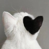 FatPussy