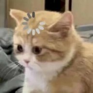 lonelywolf145