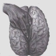 Anhzaichim