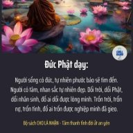 Tâm Sự Cửa Người Bị Si Đa