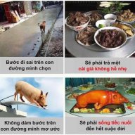 Ngovuong