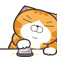 JAVreview