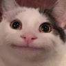 TaoLaTaoChuLaAi