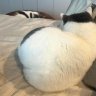 khia