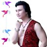 Bầu Show Hội Chợ