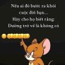 Chịch dạo đường phố