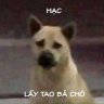 tư mã ý 2810