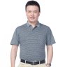 Hùng Trai Già