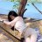 andrew123