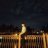 Boginvidai_02