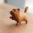 catcute