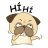 Hunter T