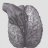 Anhzaichim
